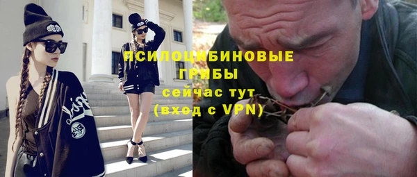дживик Баксан