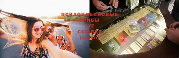 дживик Баксан