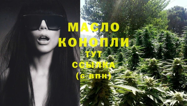 дживик Баксан