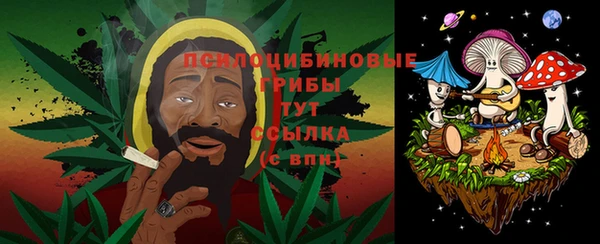 индика Балахна