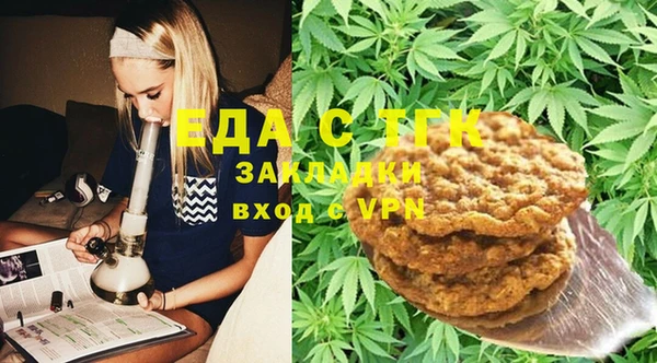 индика Балахна
