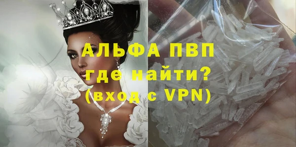 индика Балахна